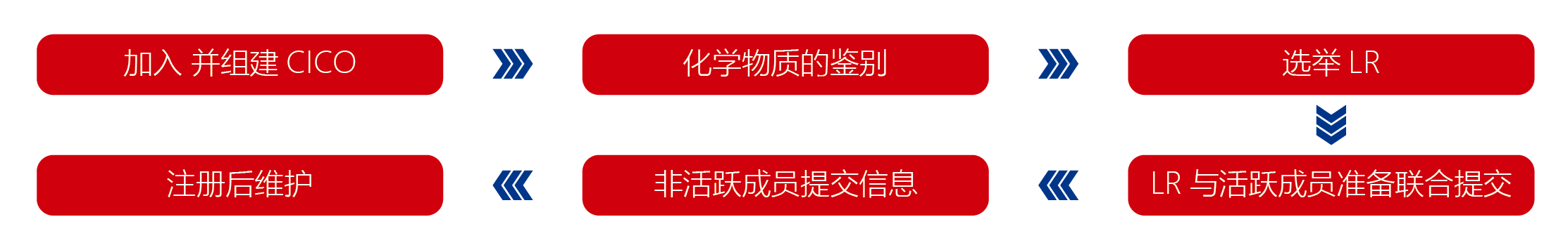 正式注册流程 正式注册流程